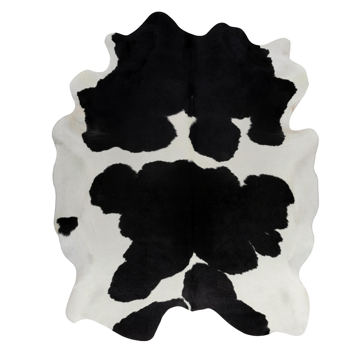 Edelman Leather tweet media