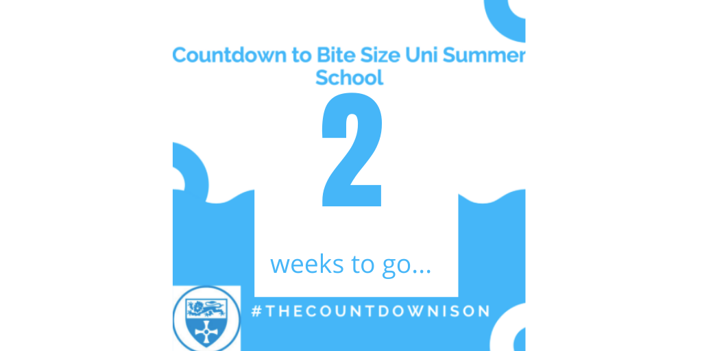 nclsummerschool's tweet photo. https://t.co/cvnfIxPfCU