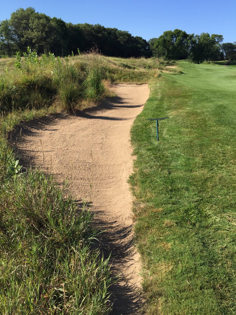 The 5 fairway bunkers right on 12 are shining.