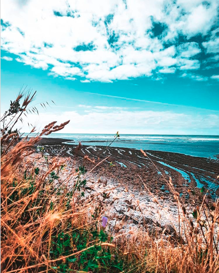 FranceintheUK's tweet photo. Did you know we're on Instagram? Throughout the month of August we'll be showcasing France's environmental credentials and featuring the best areas for biodiversity. Be sure to follow us! #EcoAugust
➡️https://t.co/QBTunZC5ed https://t.co/iZu23hzdGT