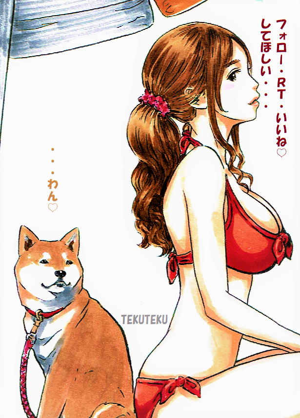 赤ビキニ女子と柴犬わんも、こう申しておりますので～(*'Д`)ヨロ~? #illustration #オリキャラ #イラスト好きな人と繋がりたい 