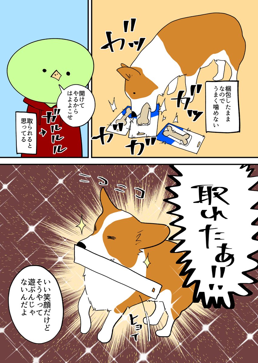 コーギーの骨もらった。再掲 