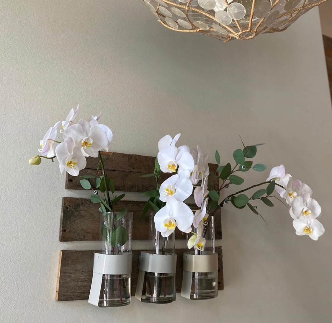 FreshLevant's tweet photo. Flowers and food are always a match made in visual and aromatic heaven in our humble opinion! 🌷🥗🥂 Thanks to Happy Plant + Atlantic Gardening Company for keeping our dining room freshly flowered with beautiful blooms!
⠀⠀⠀ https://t.co/2UTZ7yL3tY