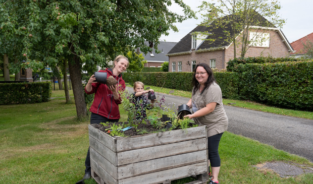 hk5heerenlanden's tweet photo. Fruitkisten vol bloemen in Enspijk -  https://t.co/n6j6agCOnY https://t.co/QhFtk50H0M