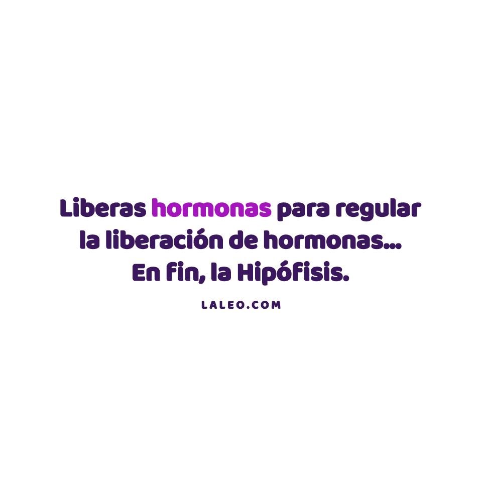 LibreriaLeo's tweet photo. 😂😂😂 https://t.co/up3Xa4AmoY