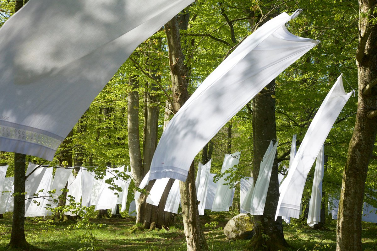 ArtReview_'s tweet photo. At Wanås Konst, Sweden, the artist Kimsooja’s project ‘Sowing into Painting’ returns culture to nature https://t.co/3GBOQ9o8us https://t.co/EFig6FVjeX