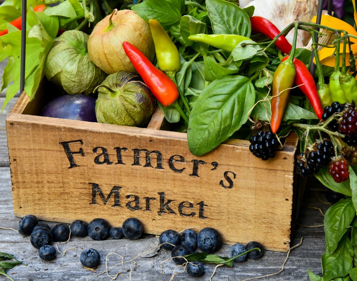 fortyhallfarm's tweet photo. Come and visit  @Forty_Hall Farmers' Market this Sunday 9 August, from 10am to 3pm. We will have social distancing measures in place to ensure all visitors and stall holders enjoy their day safely. See you there! https://t.co/FGJ5y80DlW