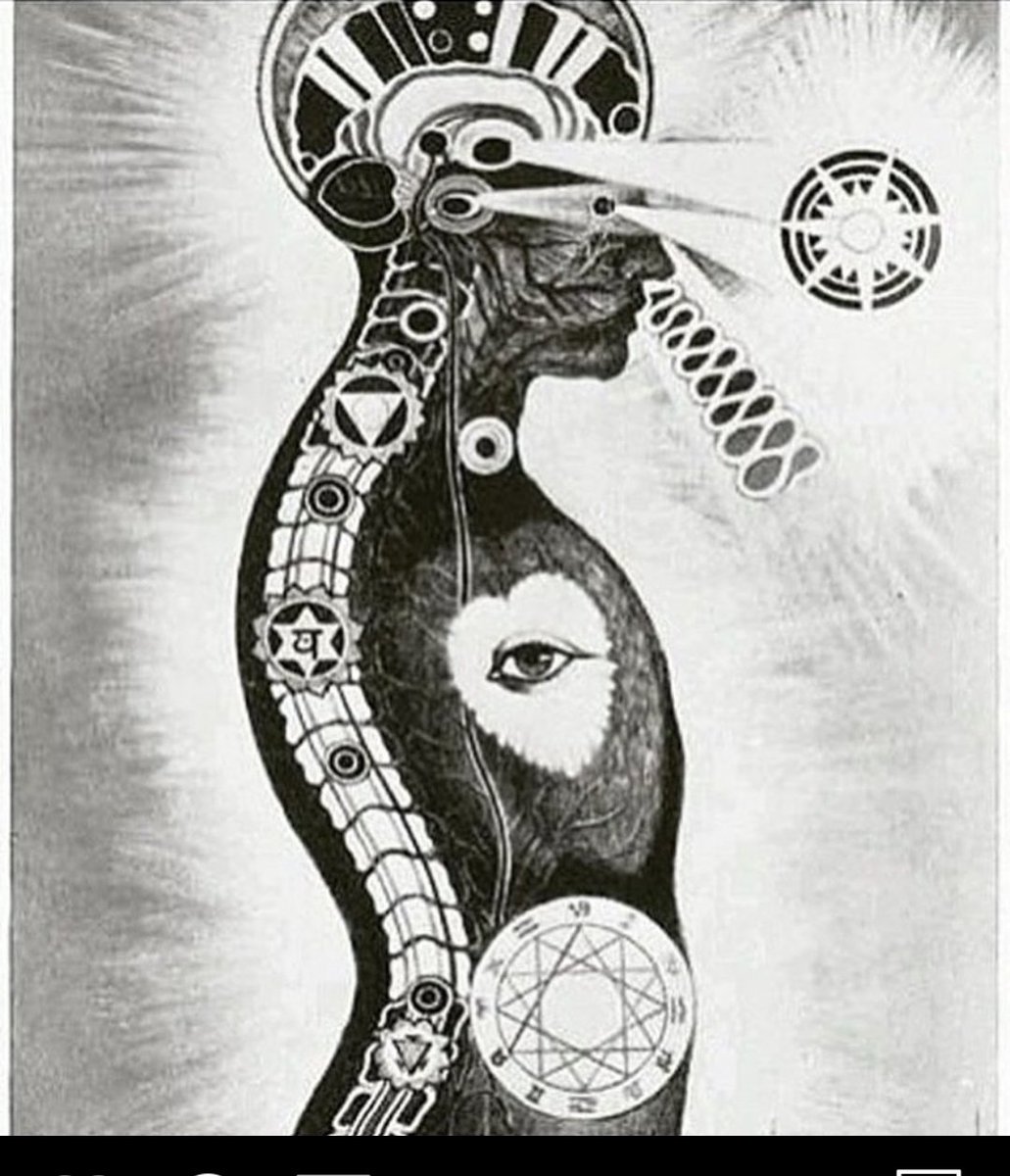 Maryam Henein/ (aka BeeLady) / Non Psyop tweet media