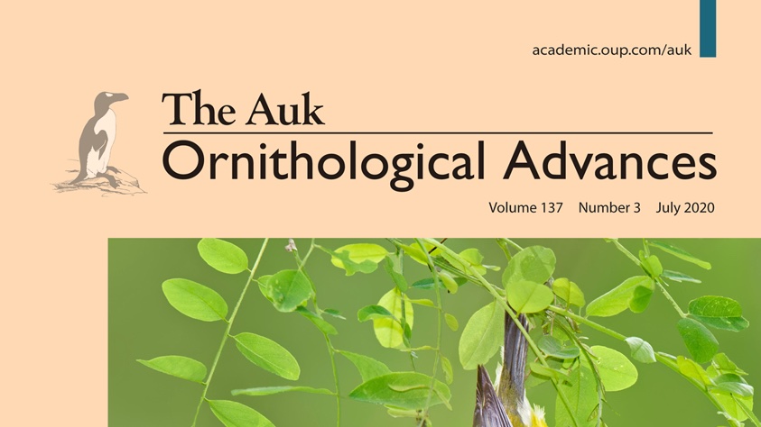 The main reason given by those who want to change the name of "The Auk: Ornithological Advances" is that promotion committees don't understand "The Auk" part of the name.I think we at  @AmOrnith should embrace the question "Why is it called The Auk?" as a learning opportunity: