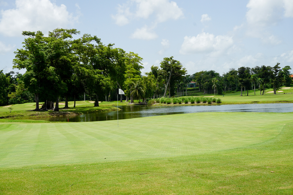 Dorado_Beach's tweet photo. Perfect weather for a round of golf ⛳ #tpcdoradobeach https://t.co/gUn4jK0P0r