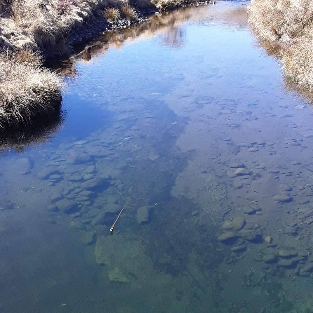 Clear Water in the Bell ready for the Season #flyfishing #wildtrout