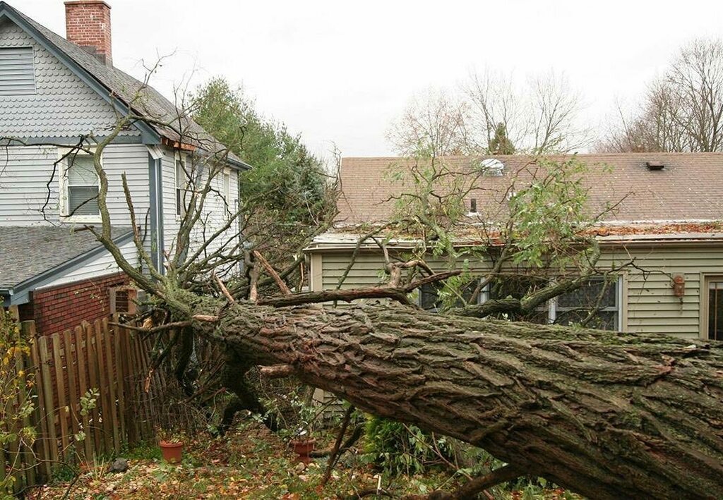 If your home suffered from any storm damage do not hesitate to call us at 908-378-5951! We are here for your emergencies and work with your insurance company. instagr.am/p/CDgupqRD3LP/
