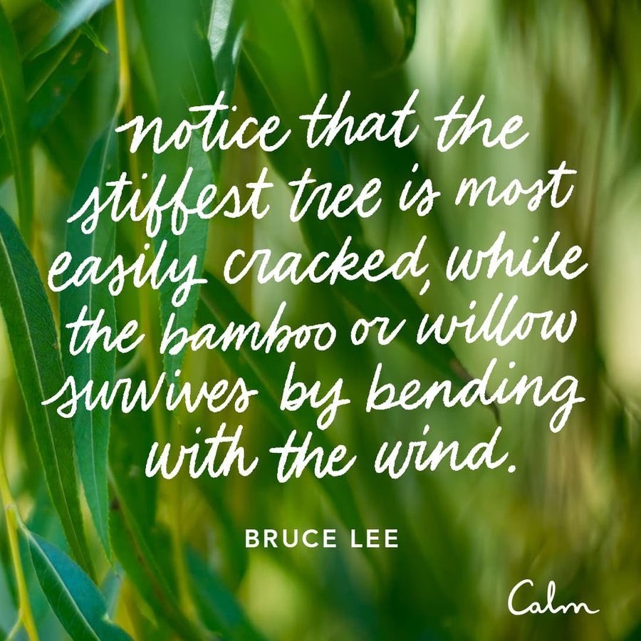 This Spoke to me this morning.