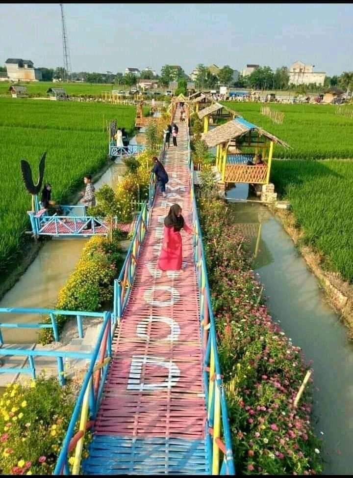 AgusWestBorneo's tweet photo. Keren banget sumpah!!!...... https://t.co/j5lOIUWMZt