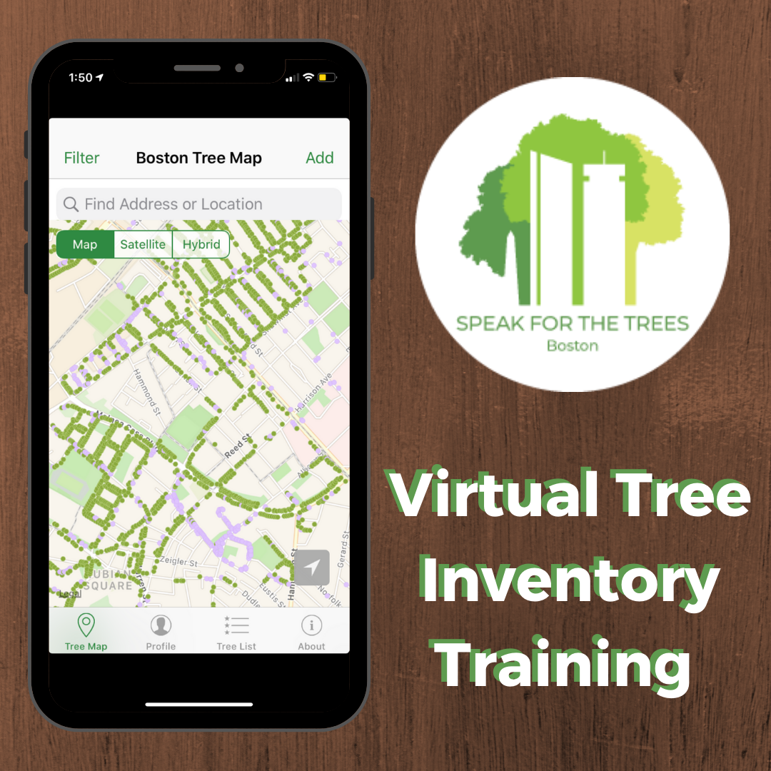 Trees_Boston's tweet photo. Get out and #ExploreYourBlock & #CommunityForest w/ the #family through our #inventory program. Teach your kids to be stewards of their #urbanforest: https://t.co/4JG62r8E99 #CitizenScience #TreeLove #TreeEquity @bostonparks @BostonParksDept @azavea https://t.co/iInzINbwGN