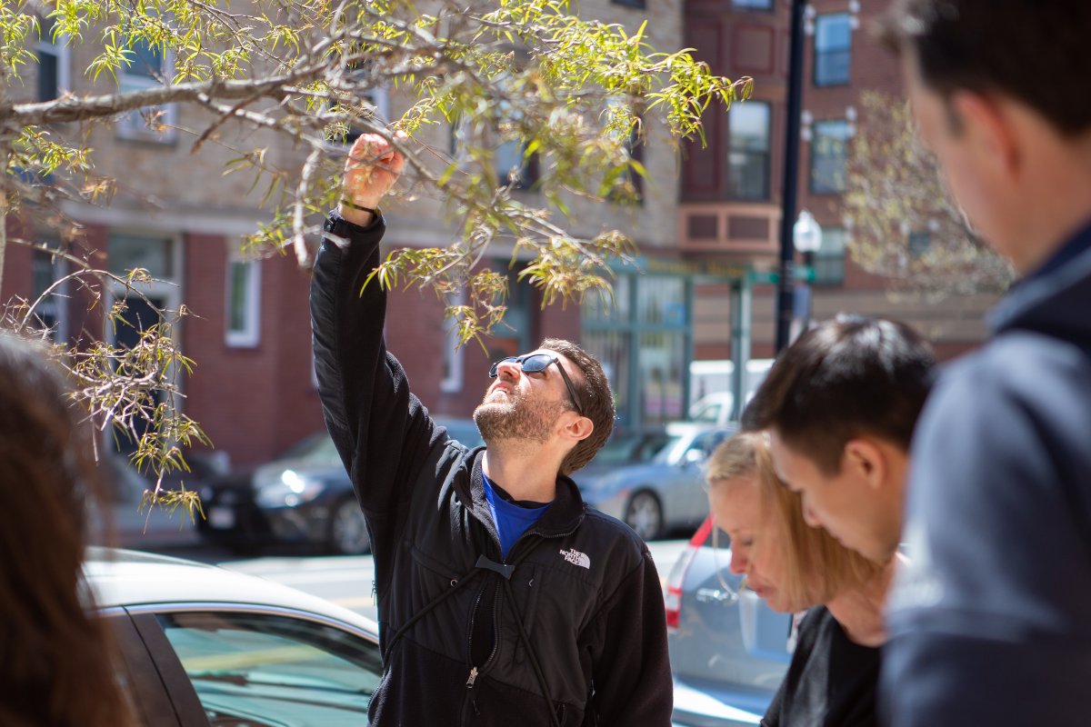 Trees_Boston's tweet photo. Get out and #ExploreYourBlock & #CommunityForest w/ the #family through our #inventory program. Teach your kids to be stewards of their #urbanforest: https://t.co/4JG62r8E99 #CitizenScience #TreeLove #TreeEquity @bostonparks @BostonParksDept @azavea https://t.co/iInzINbwGN
