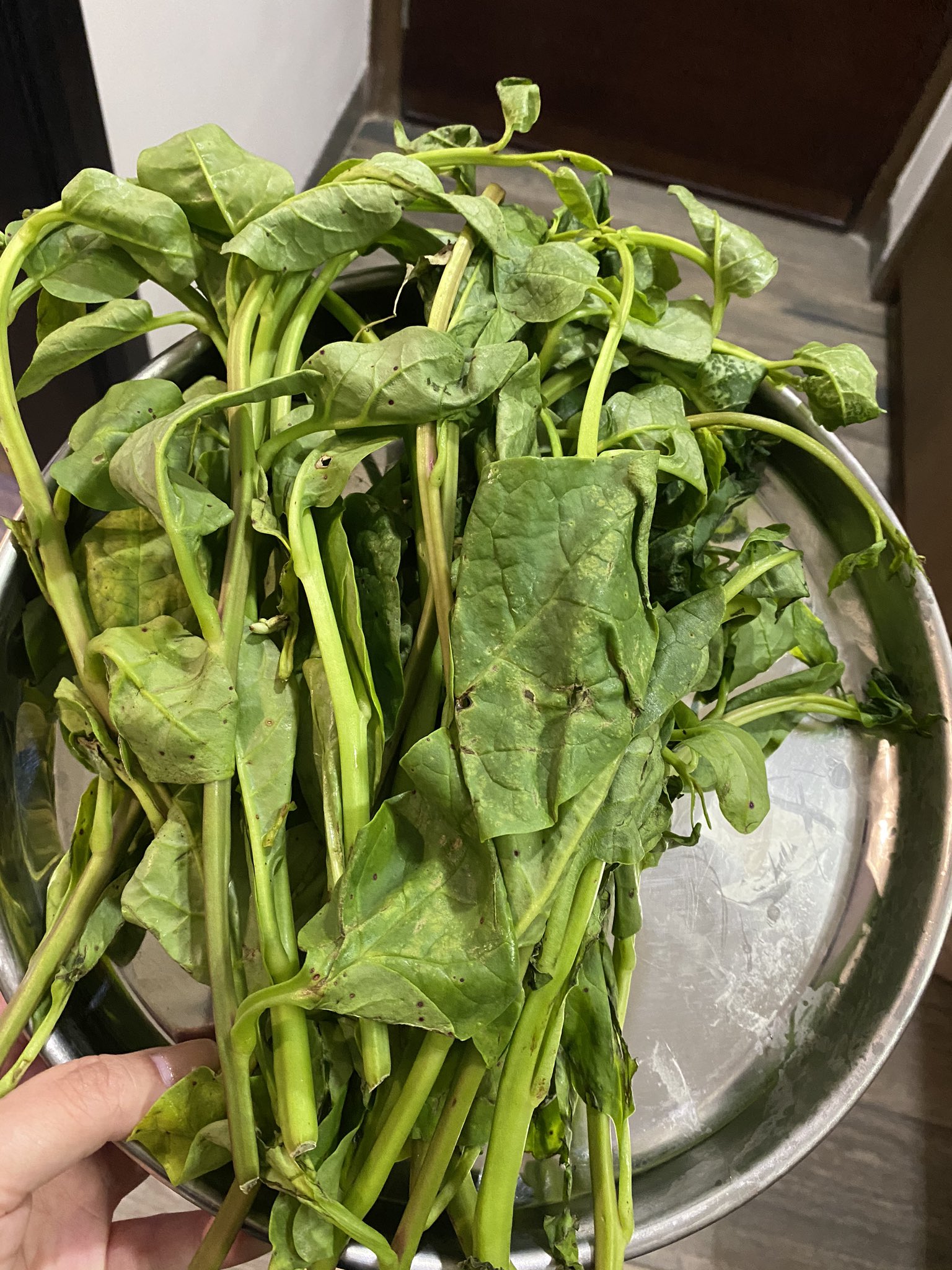 بلی この野菜 名前わからないんだけど 聞いてもサーグしか言われないw 茹でるとネバネバでつるむらさきとかモロヘイヤみたい T Co Refq0repas Twitter