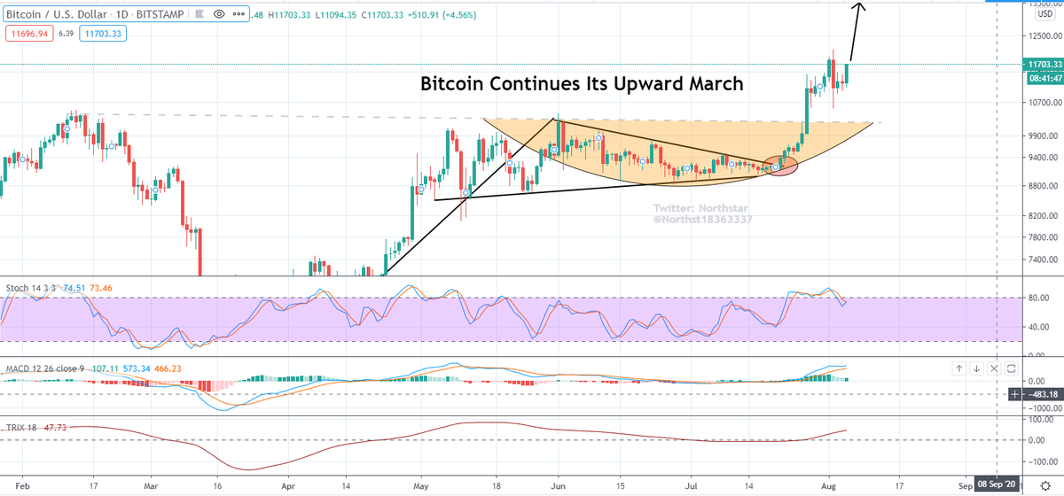 NorthstarCharts's tweet photo. Bitcoin 'blip' is behind us. The move to $15,000 continues #crypto #cryptocurrency #CryptoNews #cryptotrading #Bitcoin #Litecoin #ethereum #XRPCommunity #BitcoinHalving2020 https://t.co/1mY3Ktv5Lv