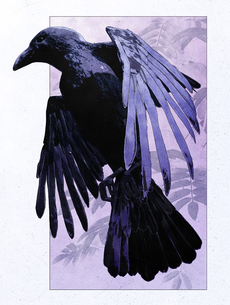 DanielTaylorArt's tweet photo. "Deadly Bloom" &amp; "Raven" - Personal Illustrations, 2019 https://t.co/MnC3GE5cyh