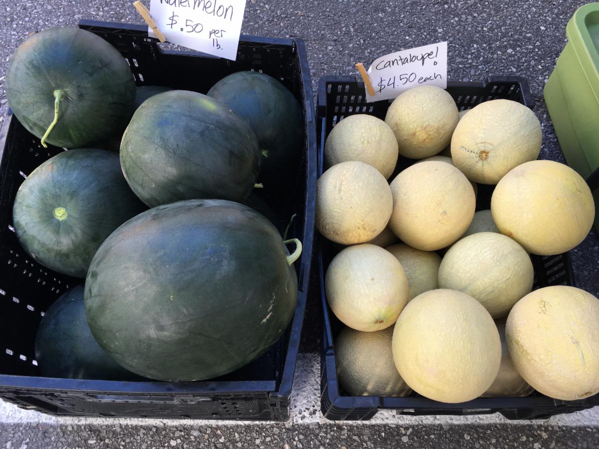 317main's tweet image. Yarmouth Farmers Market Thursday August 6th: Blueberries, Watermelon, Sushi &amp;amp; Flight 317! conta.cc/3frt12d