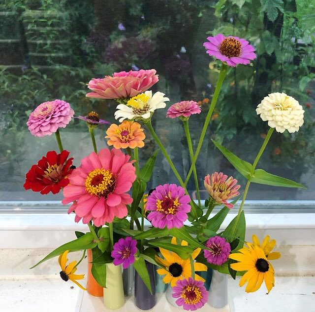 WiderAwakePrint's tweet image. Post ⛈ print shop 💐