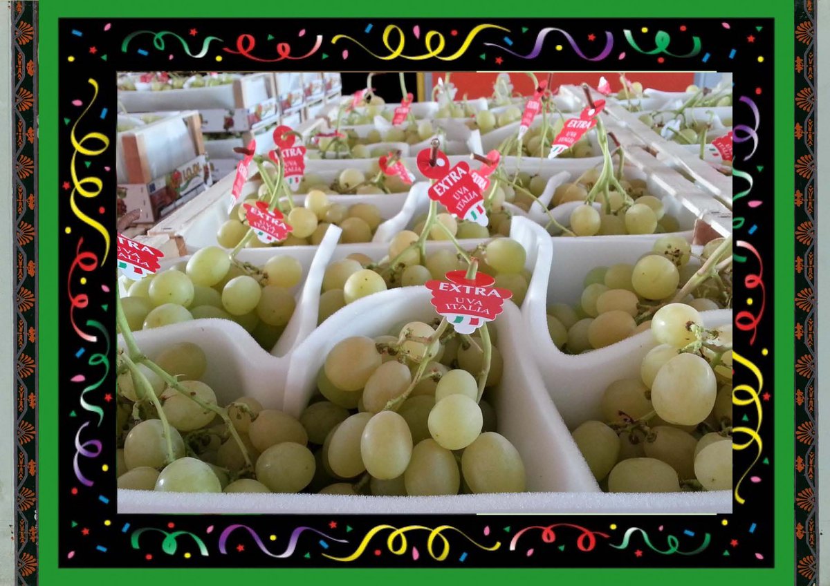 NOVAGRIM_FRANCE's tweet photo. #cherry,#paris,#rungisinternational,#MINdeRungis,,#montana,#batimentC2,#turkishcherry,#summer,#summerfruits,#plums,#figs,#apricots,#grapes,#italianfigs,#strawberry,
#fenchplums,#sicily,#melons,#MarcheDeRungis,#RungisInternationalMarket,#germany,#freshpeas,#watermelons,#Belgium https://t.co/Gf4aIF00Re