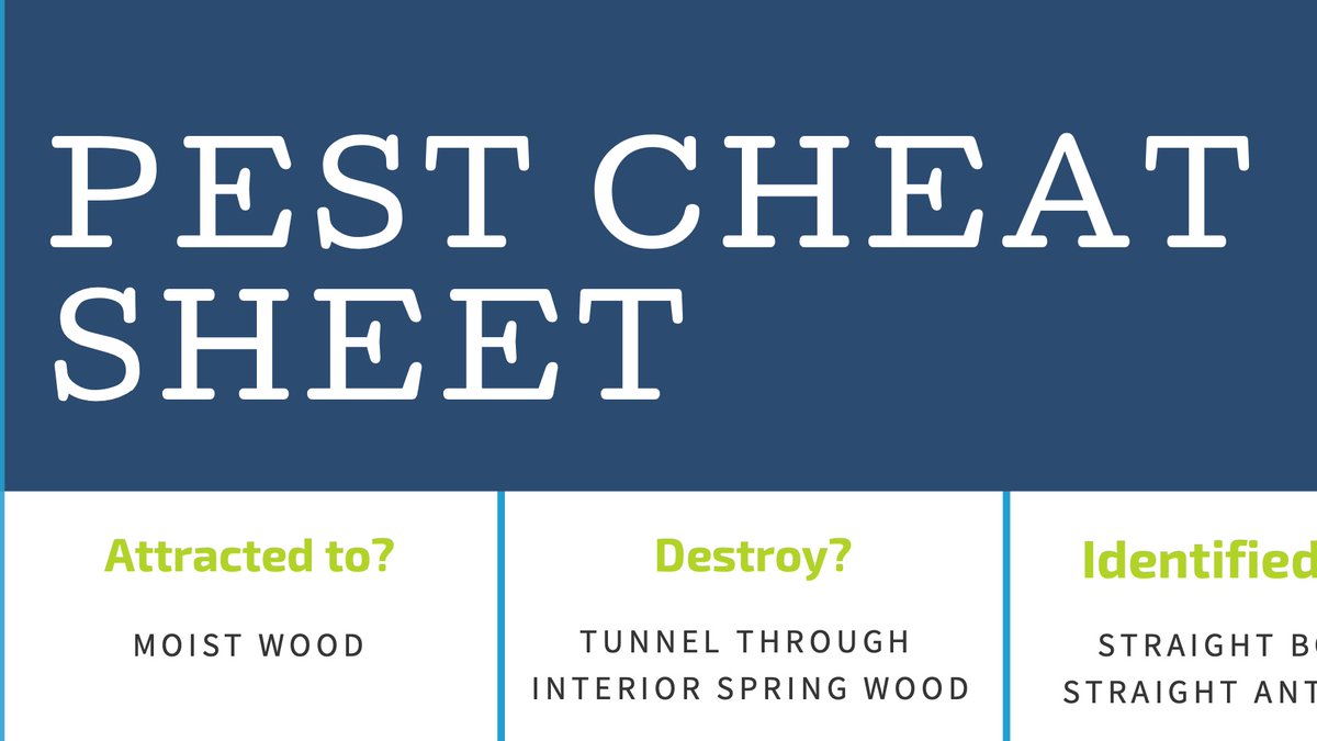 Don't forget to check out our Pest Cheat Sheet--> seairaglobal.com/infographics.p… #watchdog #wednesdaywisdom #infographic #PestControl