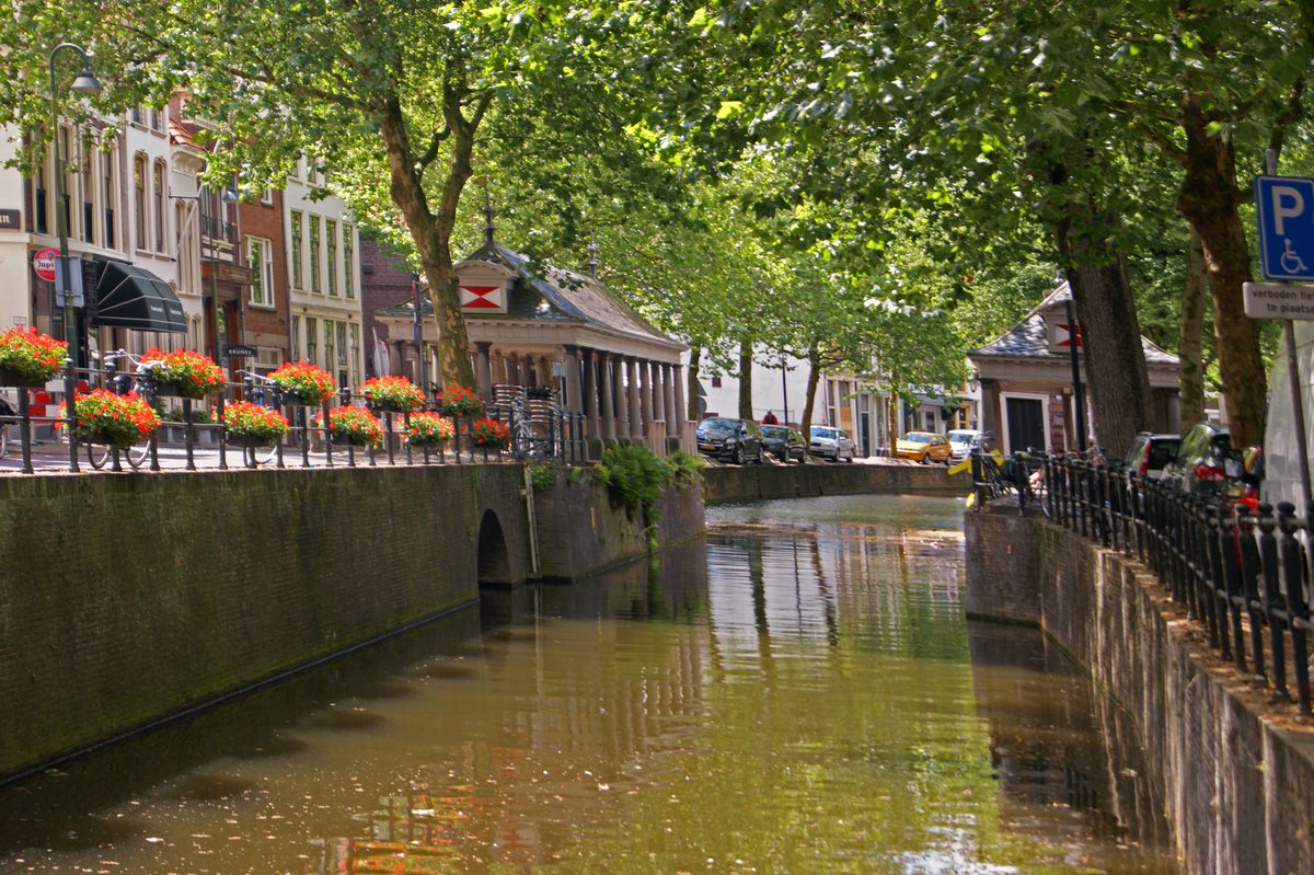 De #boomtunnel is toch wel de beste #airco die er is. Waarom zijn er dan nog straten zonder #bomen??