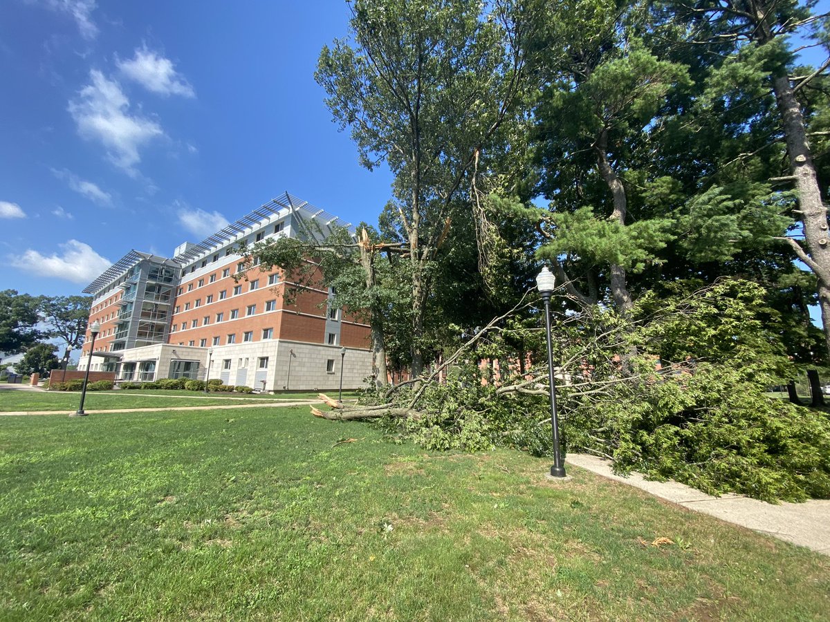 Southern Connecticut State University 🦉 tweet media