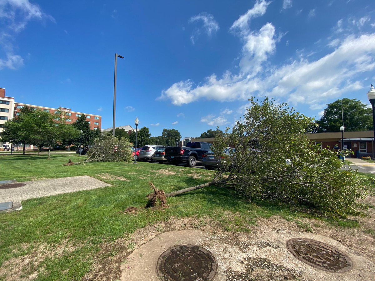 Southern Connecticut State University 🦉 tweet media