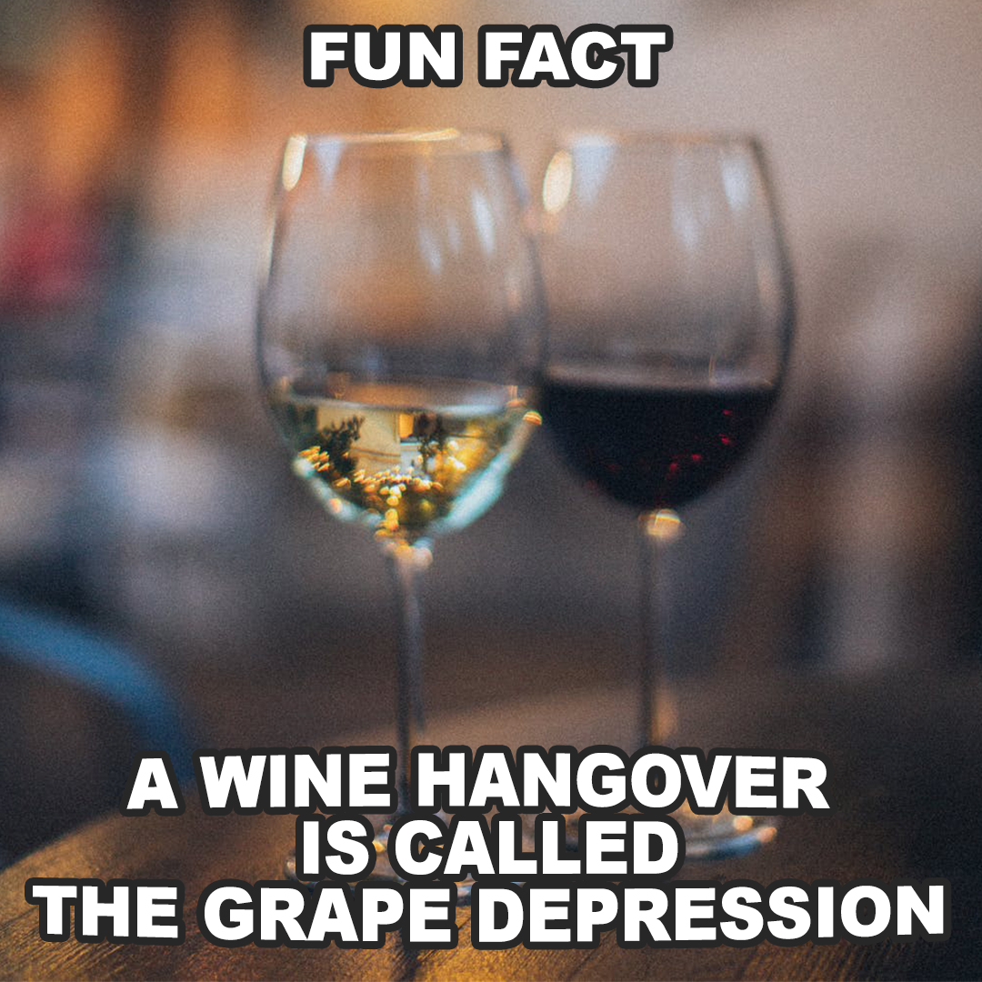 It's #WineWednesday and time for a little #WineWisdom.