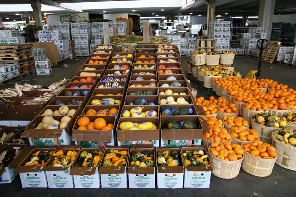 PenguinFreshCAN's tweet photo. Did you know that we source all our fresh food daily from the Food Terminal?

Every day, bright and early we are at the Terminal grabbing the freshest food for you. We sometimes don’t send you what you ordered because well, it just isn’t available or fresh enough. https://t.co/dbITbmbDSw