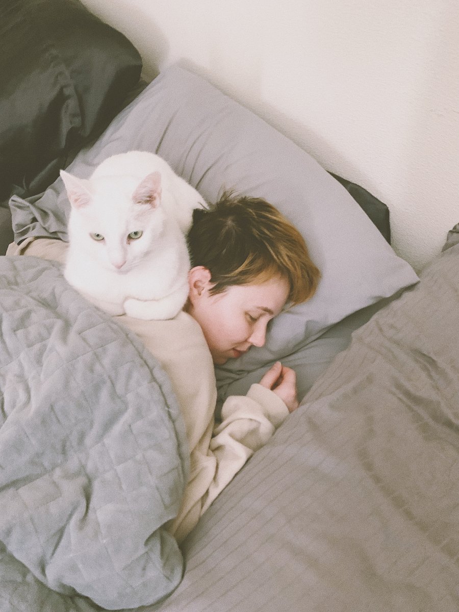 MissBMarie's tweet photo. #WinKittySpring @KittySpring4Cat
Morning Cuddles? https://t.co/guALbE1xkT