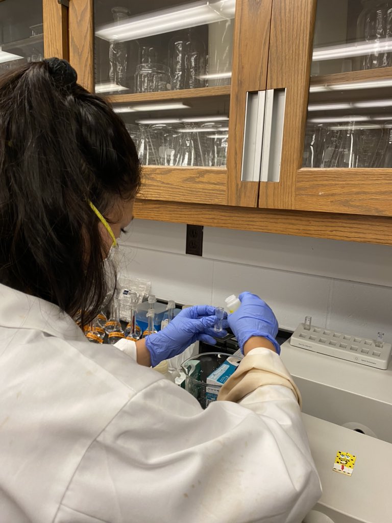 CelaysaMH's tweet photo. Ran the samples from yesterday! We noticed that most concentrations decreased from last months except R40 &amp; R41. Ended up having to dilute R41!  #nitrate #riparianbuffer https://t.co/YdHrVs9jCm