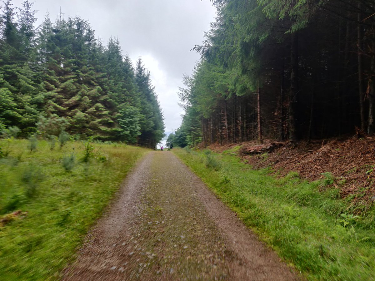 The Great Glen Way completed.

Final day was much flatter and not as wet (phew). Stunning scenery - very green and lush. Red squirrels spotted too 🐿️