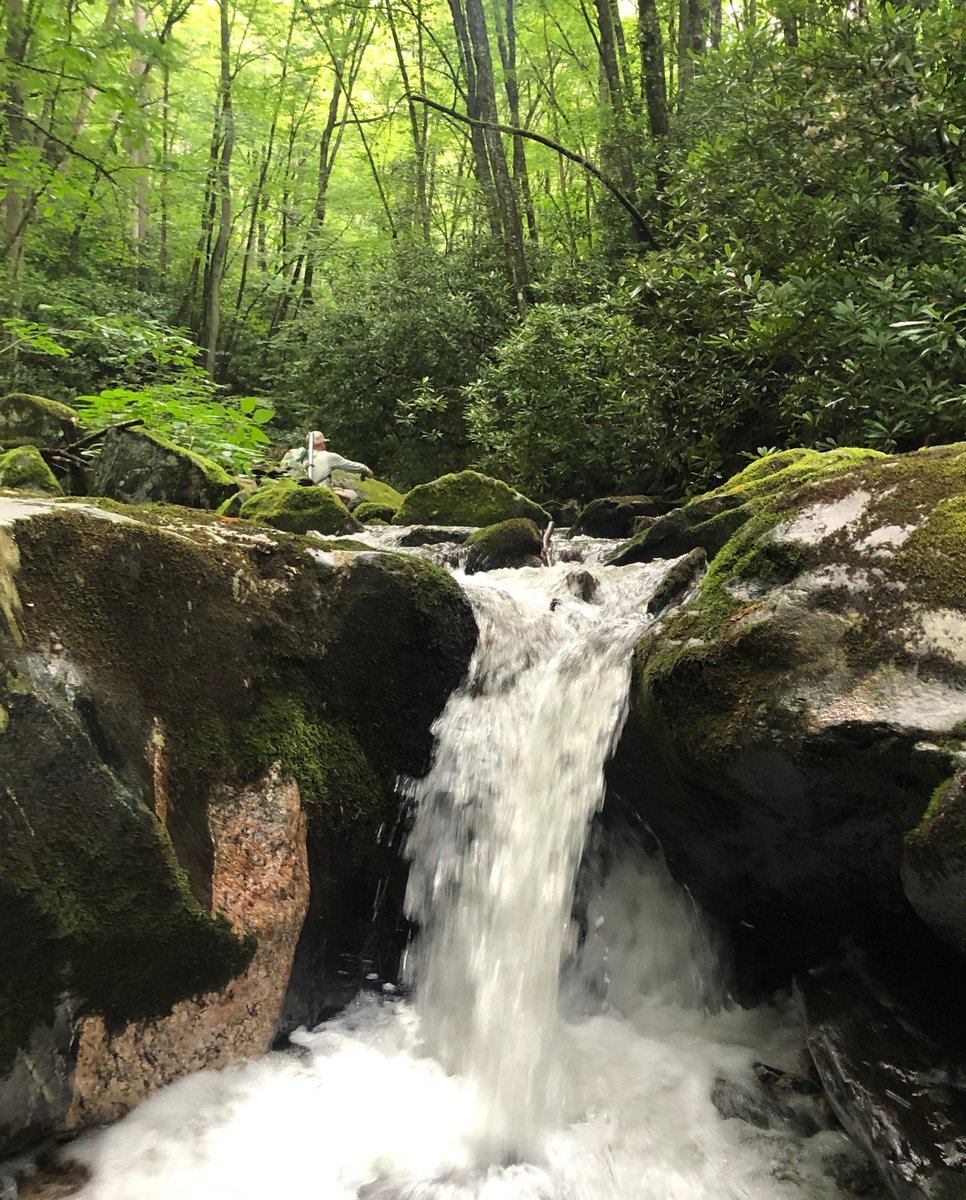 TuckRiverClub's tweet photo. Way-back Wednesday! Sometimes you just have to get "wayback" in there for the good stuff!
#TuckFlyShop #SylvaNC #BrysonCity #FlyFishNC #FishItWell #NCTroutCapital #GreatSmokies #CatchAndRelease #DiscoverJacksonNC #FlyFishing #WNCFLYFISHINGTRAIL https://t.co/QuiPfMOYrC
