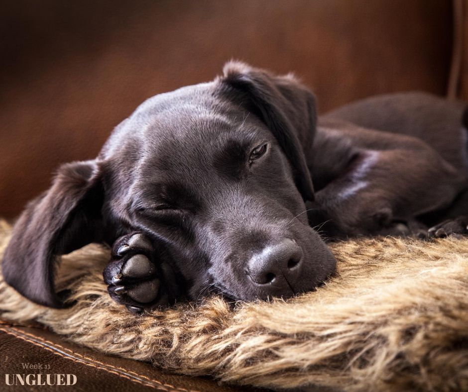 ECIAgency's tweet photo. Unglued- Week 11

Do you always feel like you’re juggling balls in your brain?  The to-do lists never stop. We need to hit the pause button and learn to rest. When there is a lack of rest, there is an abundance of stress. Time of rest is important for your mental/physical health. https://t.co/Xl3xYOIOkr