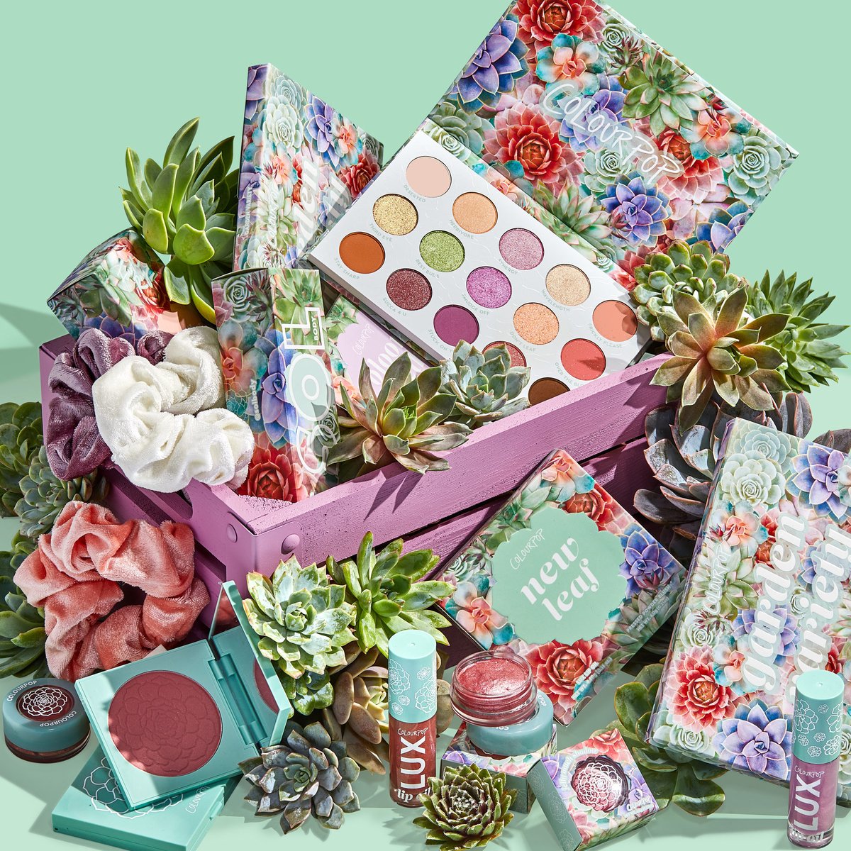 SolBodyCo's tweet image. 💐SISTER #GIVEAWAY 💐

We love us a sister giveaway! We are giving away our newest Garden Variety Collection to 5 lucky winners! Checkout our IG and FB for another chance to win! 

To Enter: 
💐Like &amp;amp; RT
💐Follow @ColourPopCo , @FourthRayBeauty, &amp;amp; @SolBodyCo