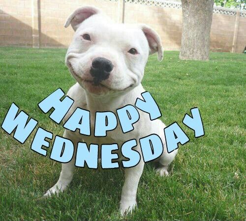 Hope you're having a good week so far!