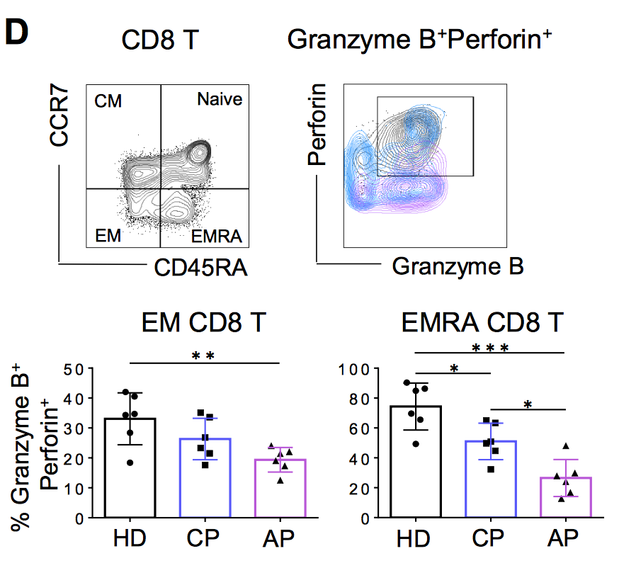 mmw_lmw's tweet photo. #SARSCoV2 #Acute_Infection | Impairs dendritic cell and T cell responses | Zhiwei Chen @HKUniversity @ImmunityCP https://t.co/oikRgV70MX https://t.co/HVkhzJJN7H