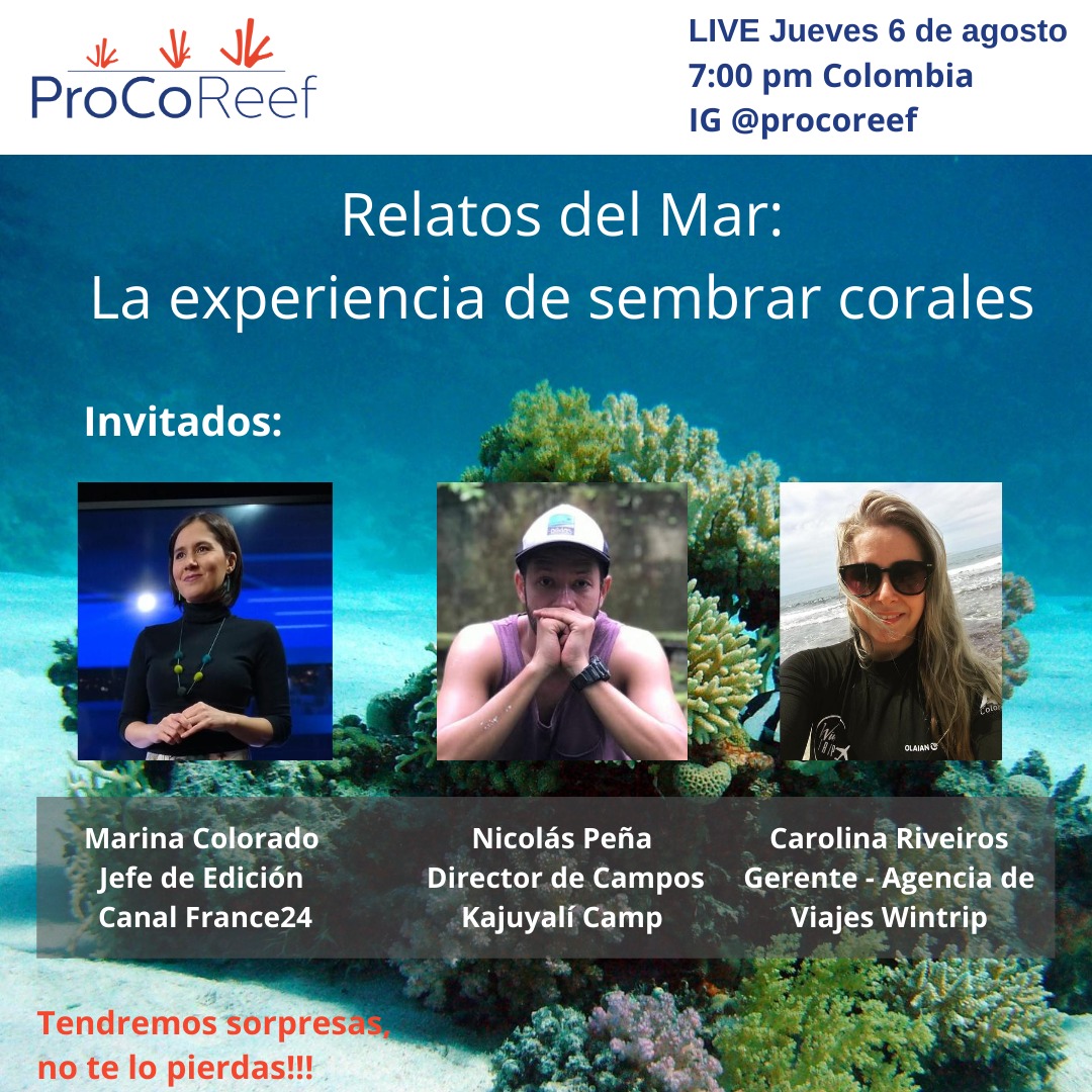 ProCoReef's tweet photo. Los invitamos mañana jueves 6 de agosto al LIVE muy especial, "Relatos de Mar: la experiencia de sembrar corales". con @marinaCorolado de @France24_es @nicolaspena._ de @Kajuyalicamp y Carolina Riveiros de @wintripsas
#FondoAzul #coralgardening #IslaFuerte https://t.co/C4MwYDcQBi