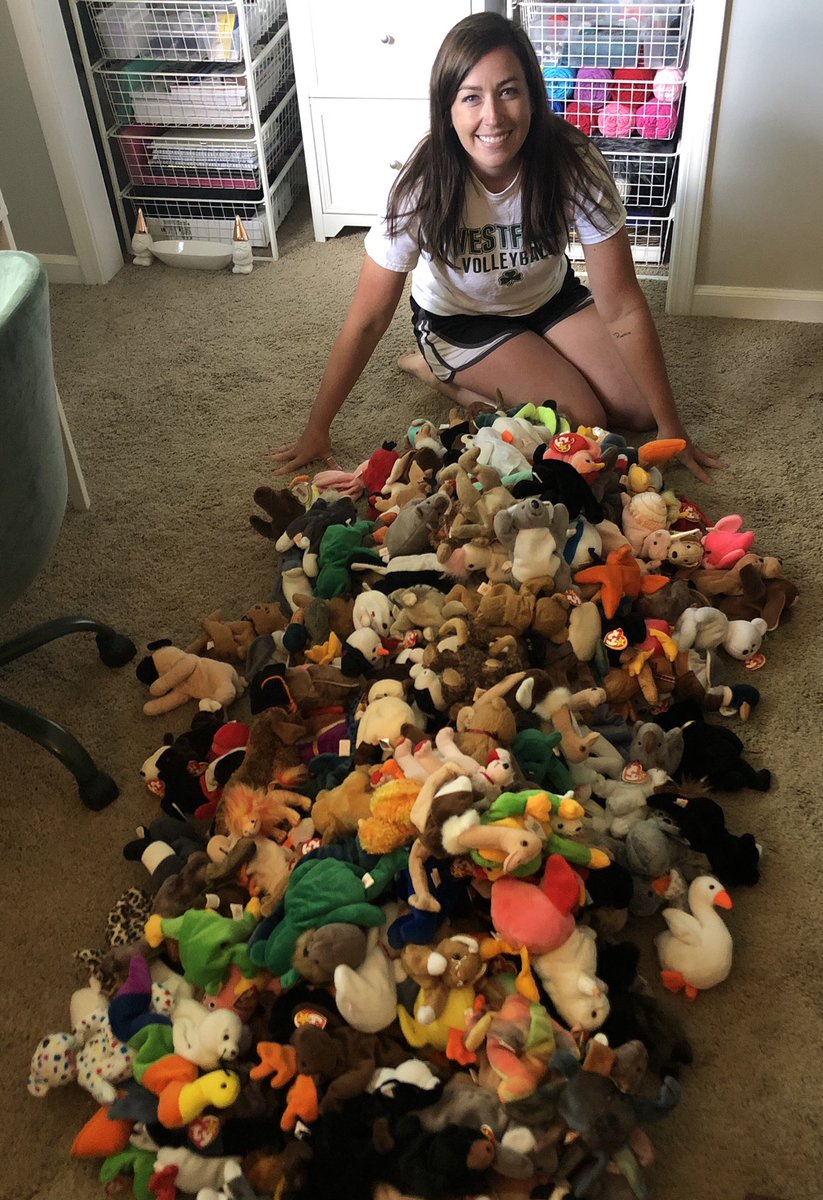 ChloeDiedamWWS's tweet image. When I reached out to the Westfield community asking for Beanie Babies, I never dreamed of this! Because of all the wonderful donations, we’ll be able to create student regulation toolkits to supply SIX resouce classrooms throughout the district! #WWS #mtes #wwsRocksRise