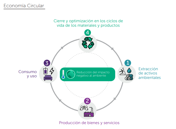 DANE_Colombia's tweet photo. El DANE presenta el Primer Reporte de #EconomíaCircular, que brinda un panorama sobre el nivel de circularidad de la economía del país. Conozca los antecedentes conceptuales, los referentes internacionales que enmarcan la medición y los indicadores en👉 https://t.co/kEcFIrHSfn https://t.co/1yfTfwMjXX