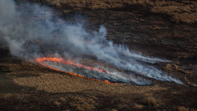 uttnacional's tweet photo. 📢📢📢 El agronegocio y el extractivismo no están en cuarentena. El Paraná sigue en llamas y se estima que las quemas intencionales ya arrasaron con 90.000 hectáreas en las islas. Hoy, una vez más, las familias trabajadoras de la tierra volvemos a exigir ¡#LeyDeHumedalesYa! https://t.co/FGYrUb04TW