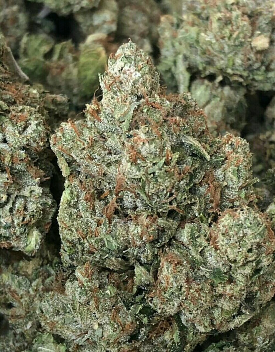 WeedSprings's tweet photo. Livraison rapide et discre
#franceverte #rasta 
#paris15 #paris14 #paris18 #nantes #pontoise #nanterre #creteil #versailles #week #beuh #shit #cannabis  #Beauvais #chartres #Evreux #laval #Angers #vannes #giletsJaunes https://t.co/YiYnOrfng3