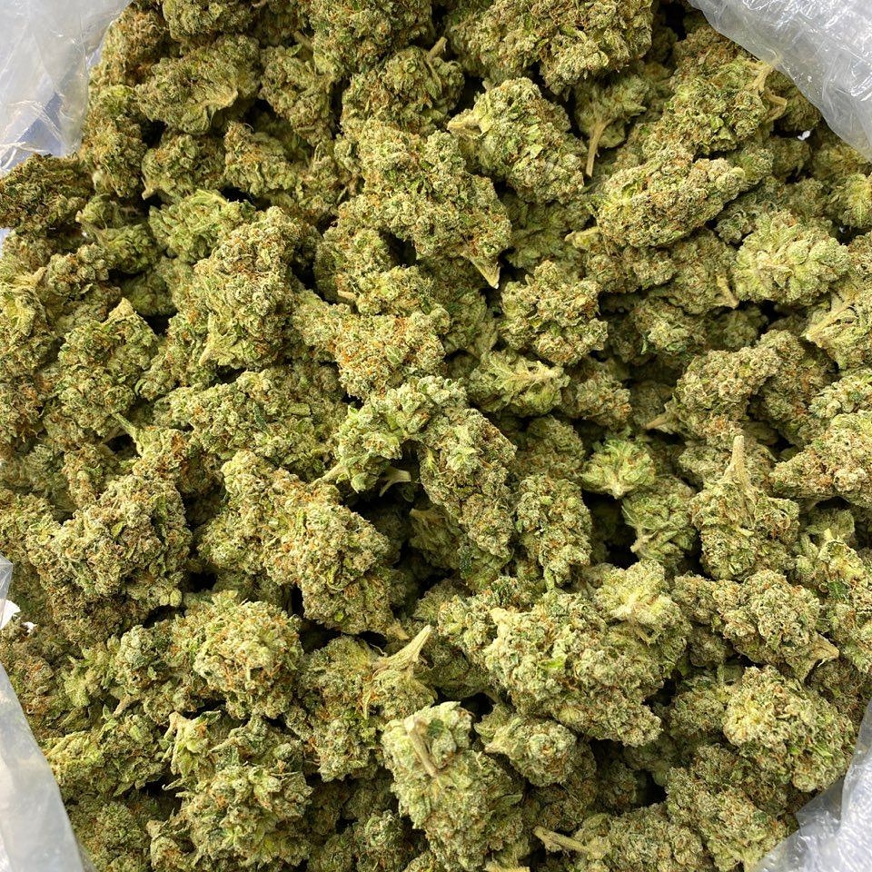 WeedSprings's tweet photo. Snapchat: pul
 #Paris #Paris15 #france #Marseille #cannabis #FranceVerte #AngersNantes #vapefrance #dijon #antibes #metz #rennes #Bourgogne #toureiffel #bourgenbresse #toulouse https://t.co/QMK6lU5zyX