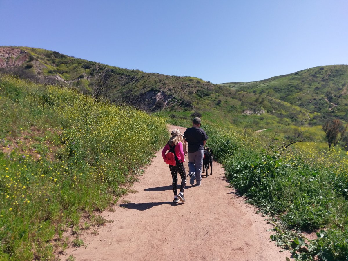 Enjoy_OC's tweet photo. Feeling trapped? Get out and explore one of our favorite hiking trails!
.
#enjoyoc #exploreoc #ocfamily #ocparks #parksmakelifebetter #getoutside #hiking 
.
https://t.co/2XDfhL3faL https://t.co/1g9uHt0j7a