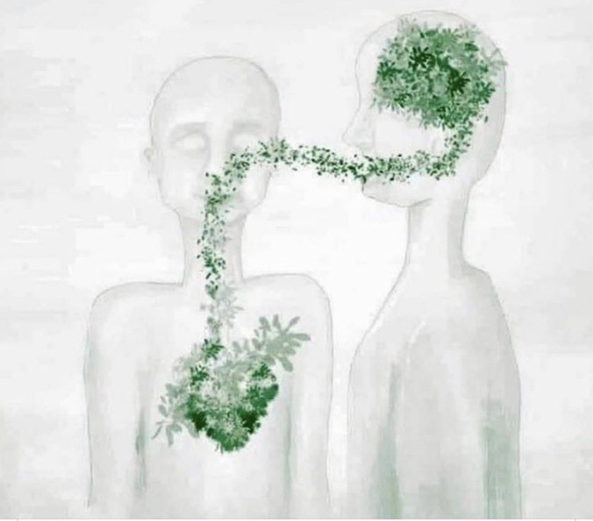 ولا أعلم لماذا قد يحبس الناس الكلمات الجميلة في قلوبهم بينما لو نطقوها .. لأزهرت بساتين الورد في صدورهم وصدور أحبتهم 🍃🤍