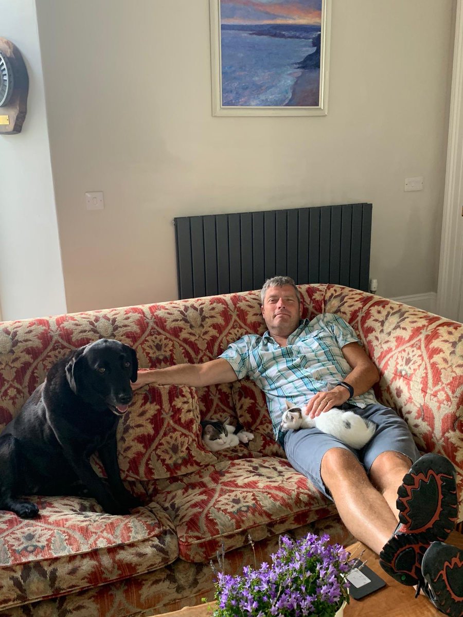 helen stembridge tweet media