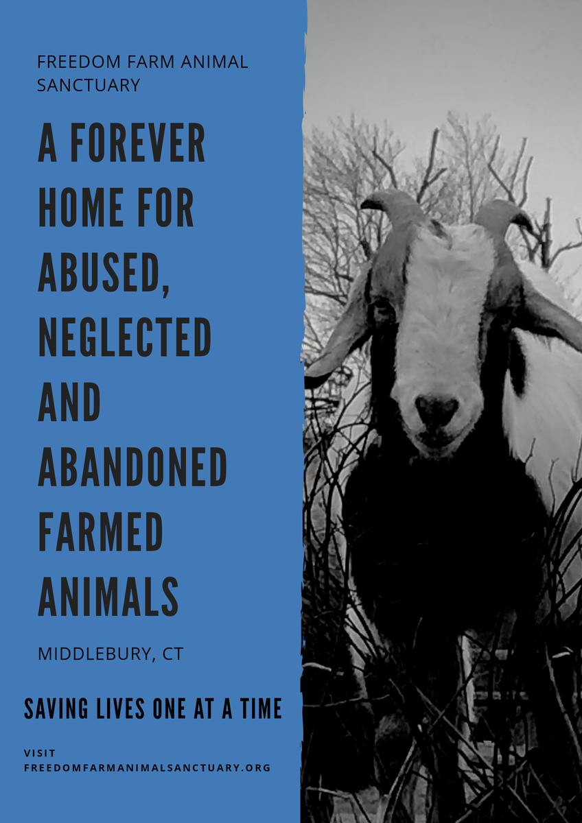 MiskellaLisa's tweet photo. We appreciate each and everyone of our followers, we are nothing without you!  Please take this time to share our post so we can grow our Freedom Farm Animal Sanctuary family!
#nonprofit #charity #community https://t.co/C0SqBrhZAN